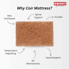 Coir Mattress